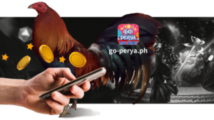 Ang mga lehitimong online na platform tulad ng Go Perya ay nag-aalok ng live streaming ng mga sabong, na nagbibigay-daan sa iyong ma-enjoy at tumaya sa mga ito mula sa loob ng iyong comfort zone. Makakakuha ka rin ng ekspertong komentaryo sa panahon ng live na broadcast, at ang pagsusuring ito ay maaaring gabayan ang iyong mga desisyon sa pagtaya.